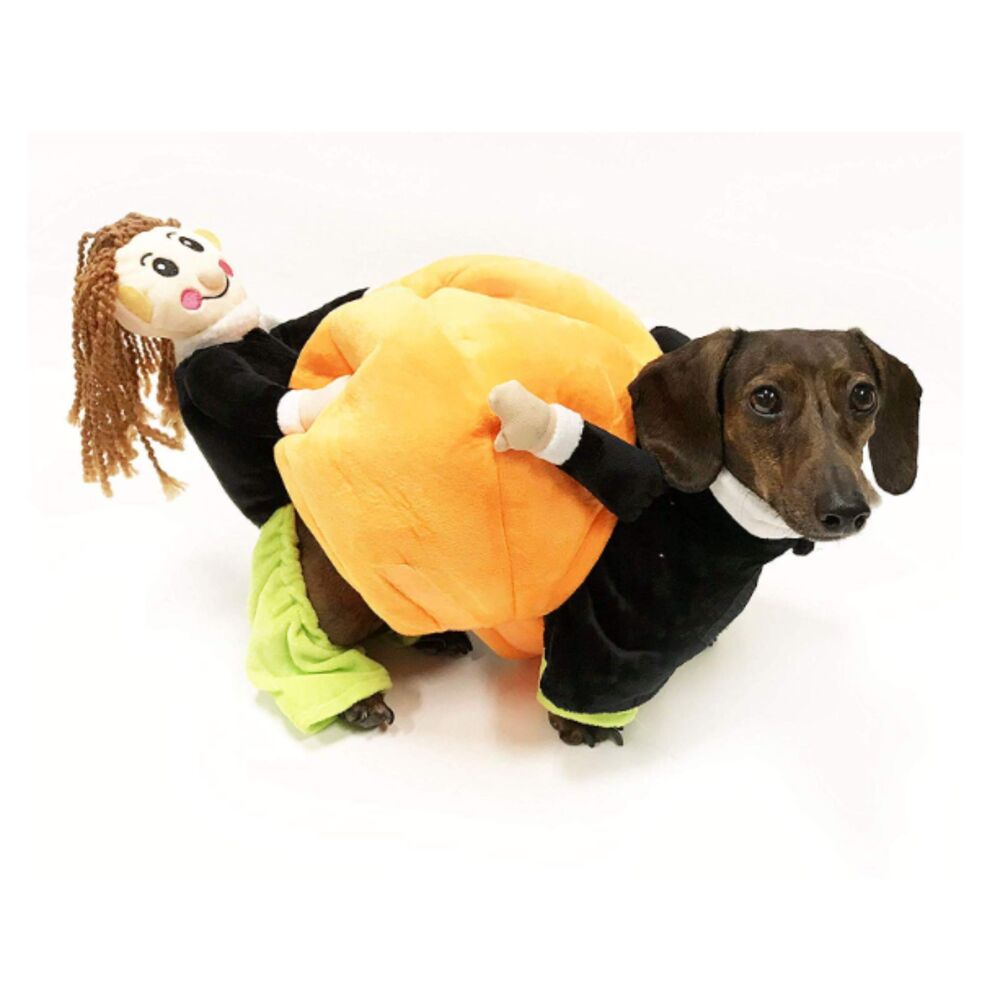 Dog Cat Halloween Costume Premium Pumpkin Funny Costume Small Breed Sz M
